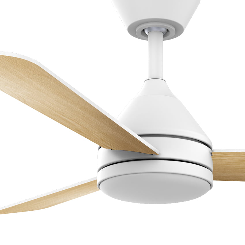 Norther מאוורר תקרה 42″ דגם YOUNG | מנוע DC שקט | שלט | תאורת LED גוון משתנה